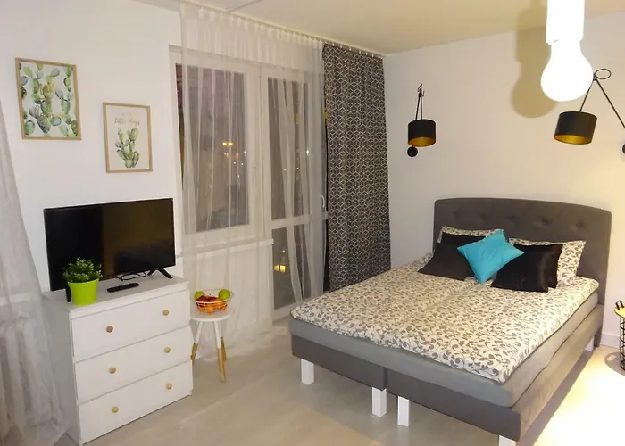 Apartament Nikola